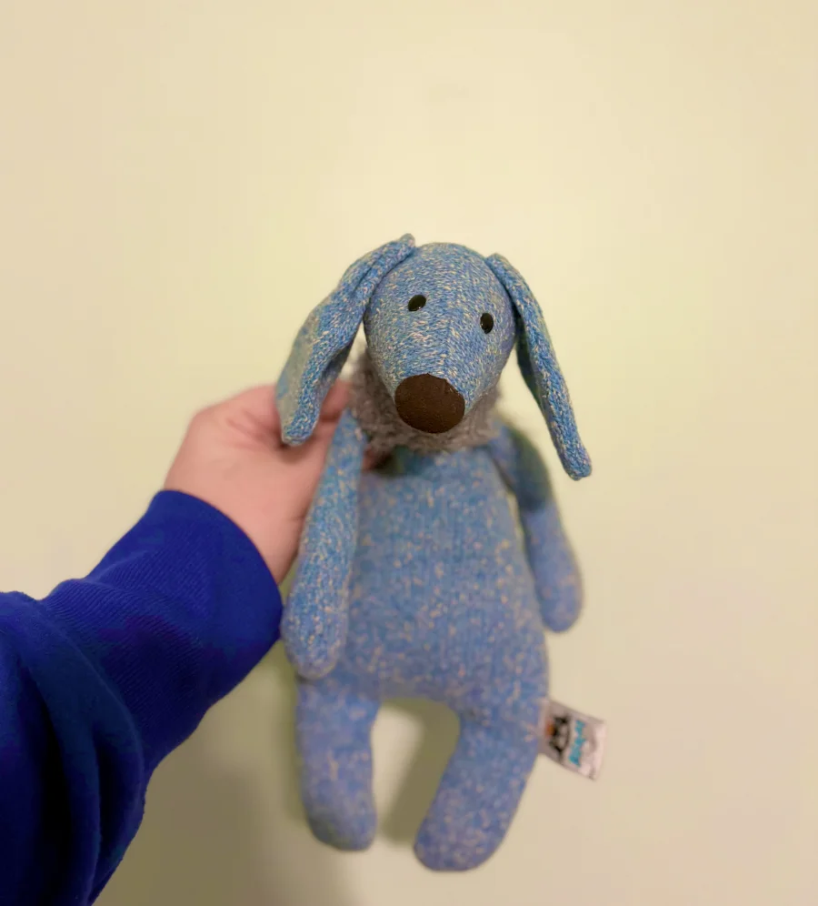 Front - Dickie Dashwood Dog photo by kaleighsjellies