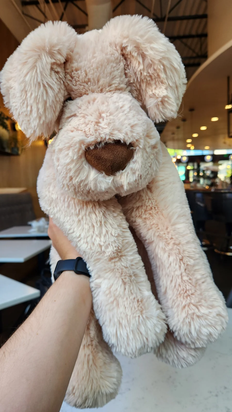 Front - Wanderlust Puppy photo by horseplushie