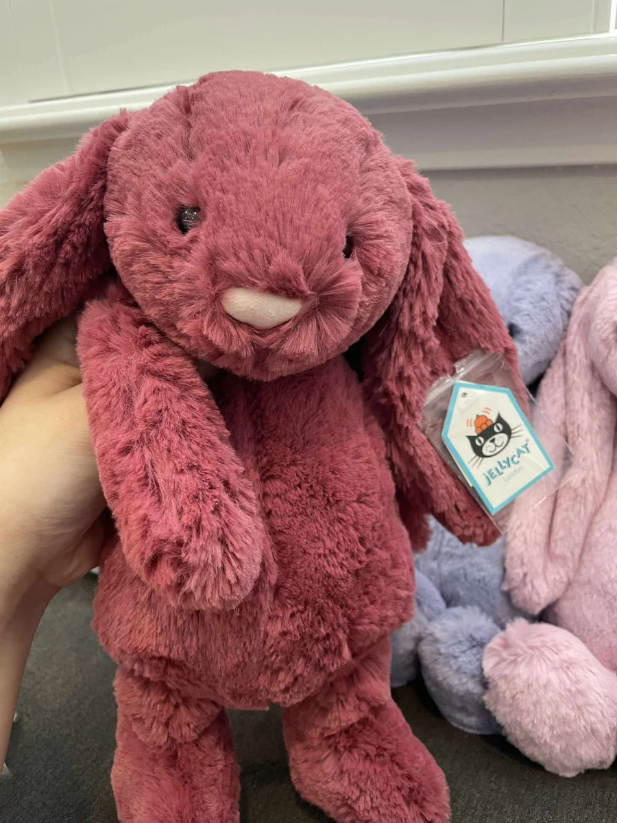 Front - Bashful Berry Bunny - Medium photo by catvoyager