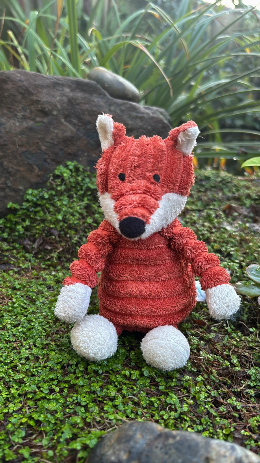 Front - Cordy Roy Baby Fox Jitter photo by Jelly_Journey