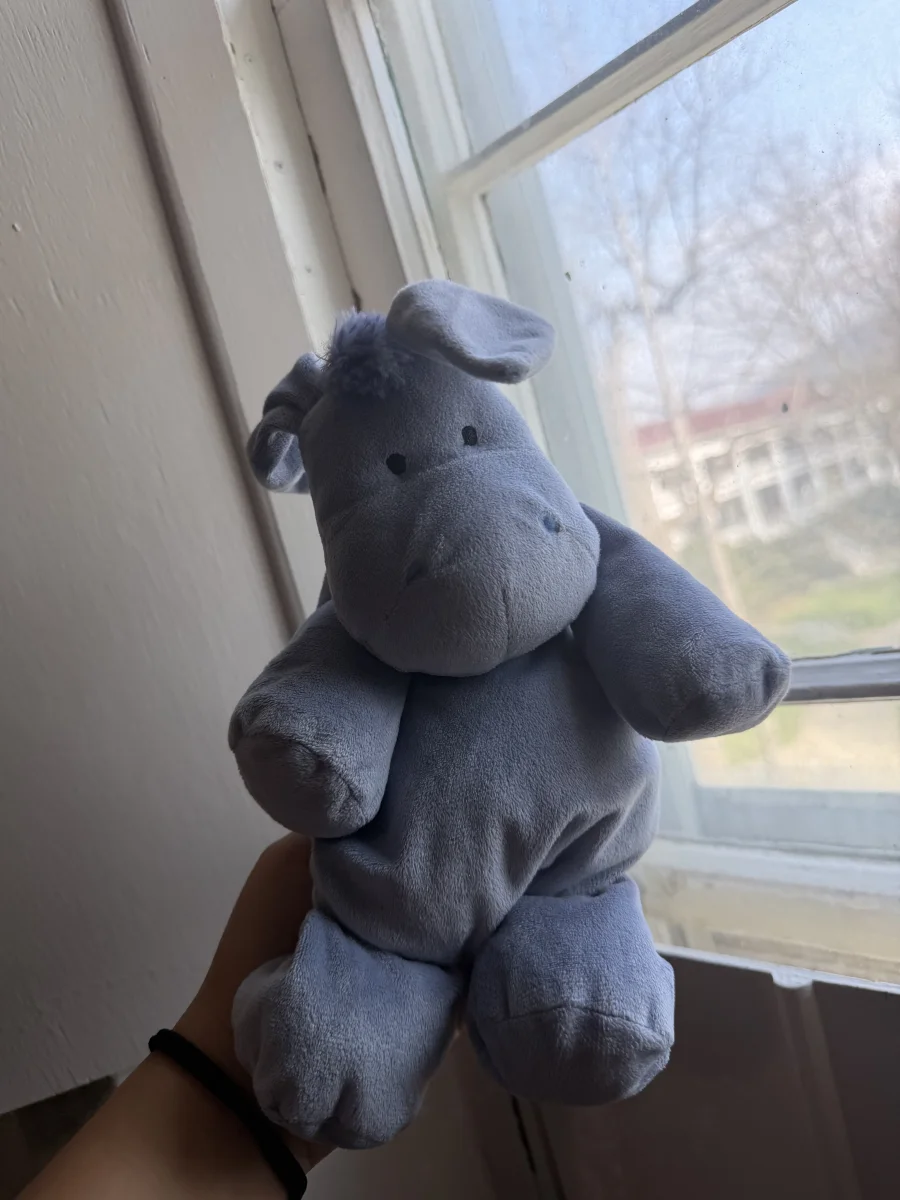 Front - Dozydou Donkey photo by katsjellies