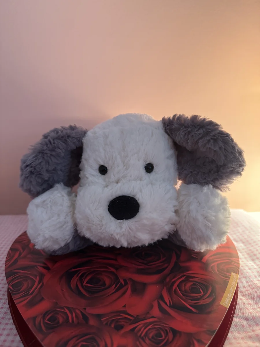 Front - Tumblie Sheepdog photo by catycake