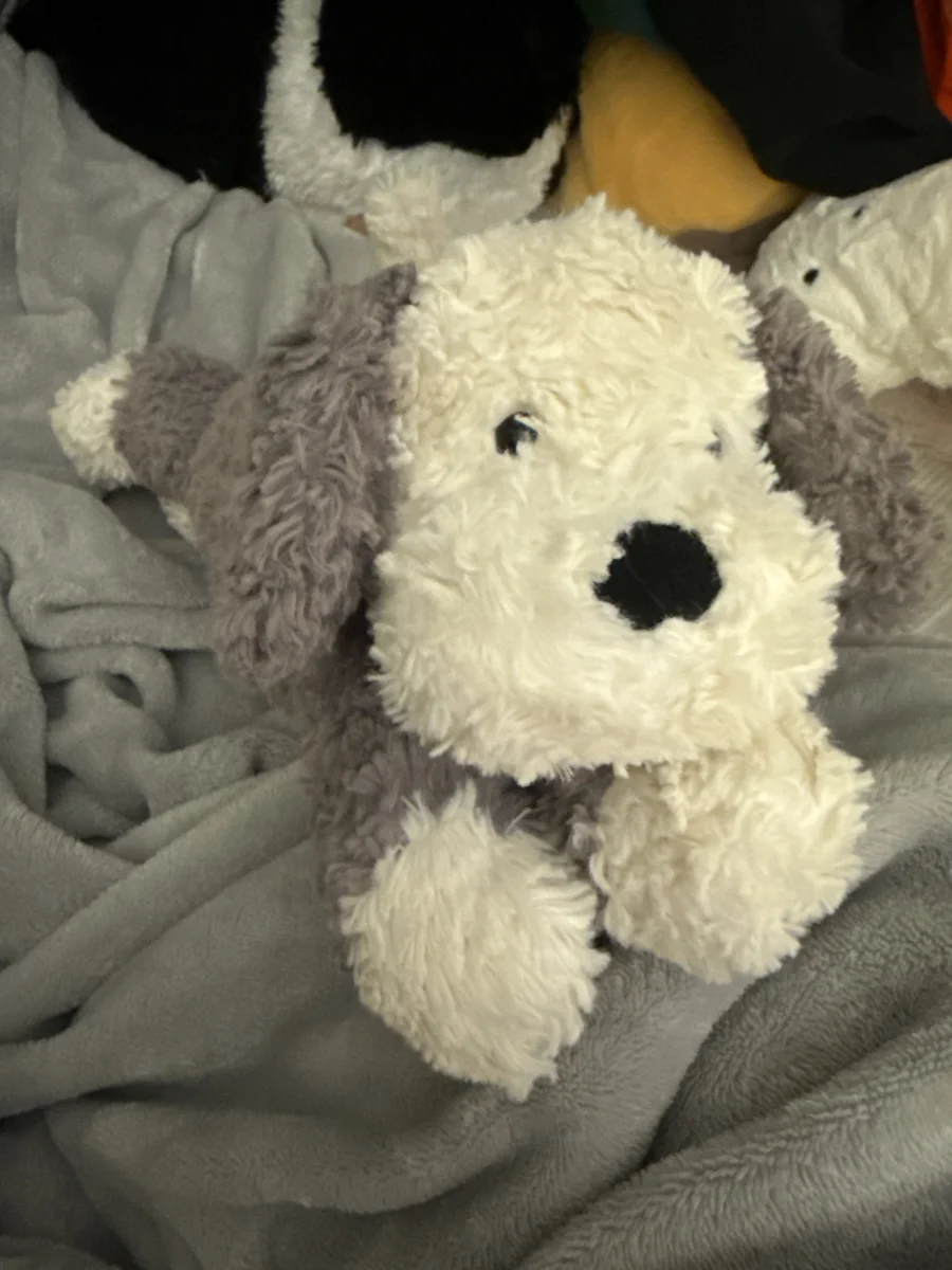 Front - Tumblie Sheepdog photo by maddycat130