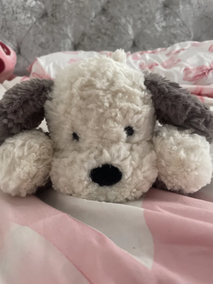 Front - Tumblie Sheepdog photo by Emelia_dawn