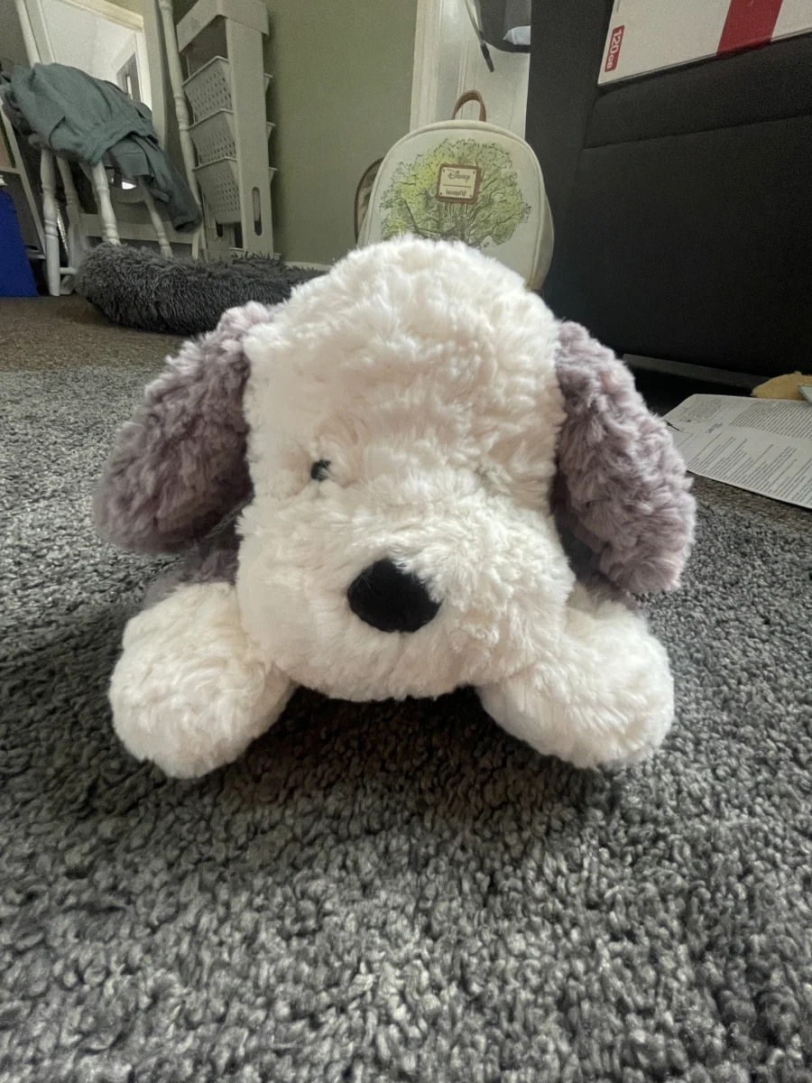 Front - Tumblie Sheepdog photo by Lottiescoll1