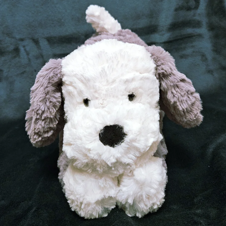 Front - Tumblie Sheep Dog photo by minnievan