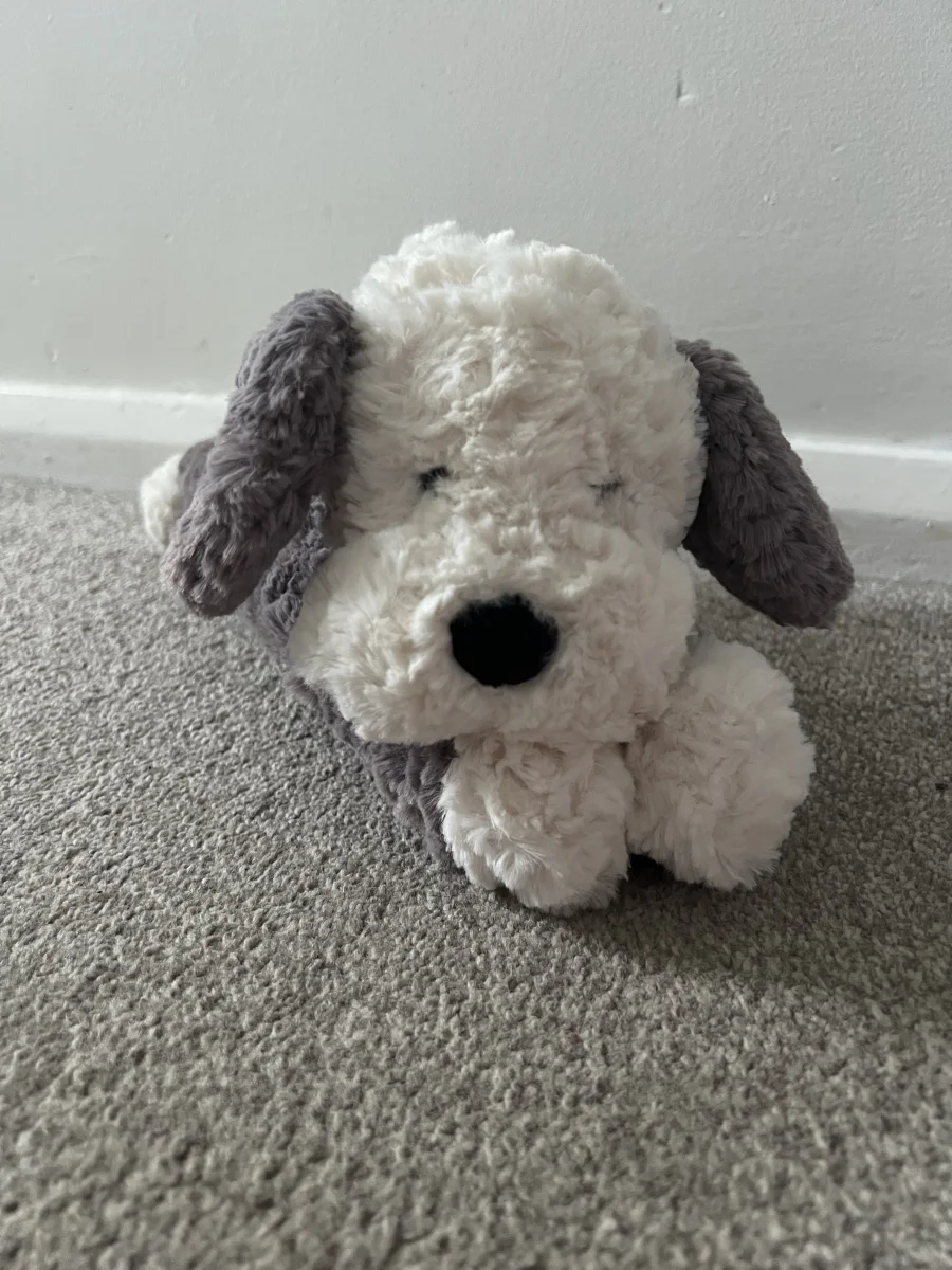 Front - Tumblie Sheepdog photo by Axel