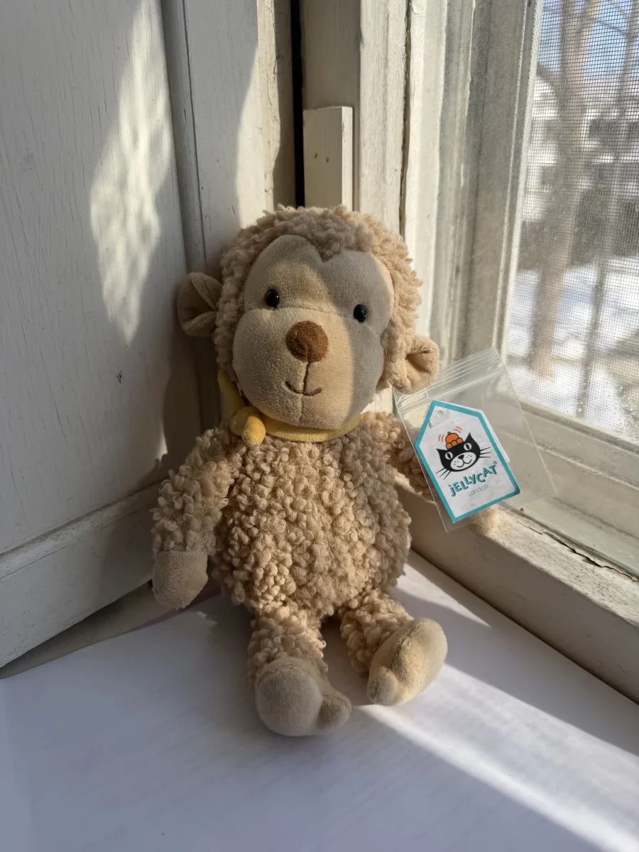 Front - Handsome Hound Poodle (Pink) - Medium photo by katsjellies
