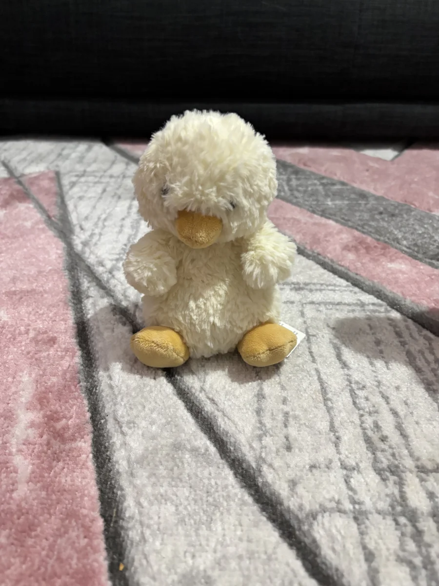 Front - Yummy Duckling photo by Liv_xx12