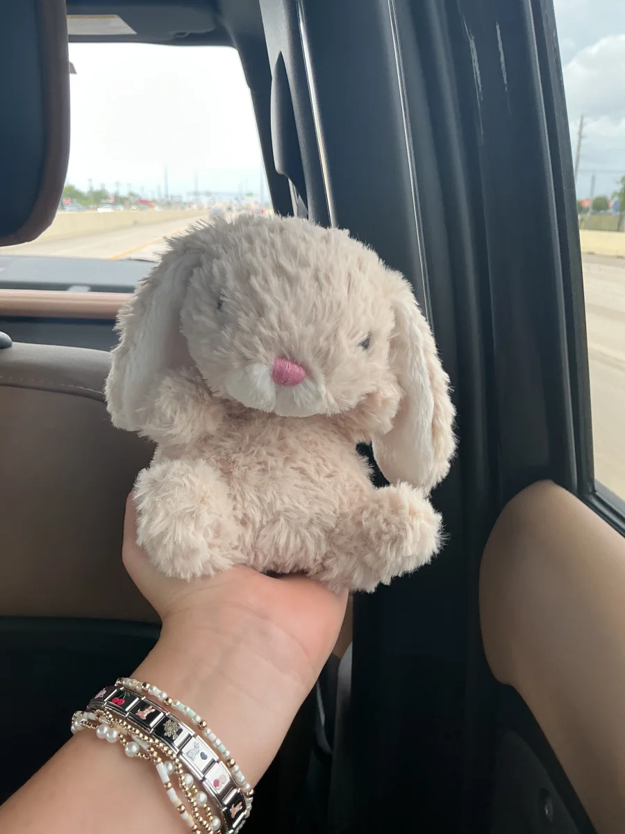Front - Yummy Bunny - Beige photo by Leah_hilliard