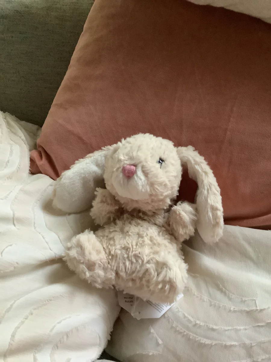Front - Yummy Bunny - Beige photo by Jellyfan456