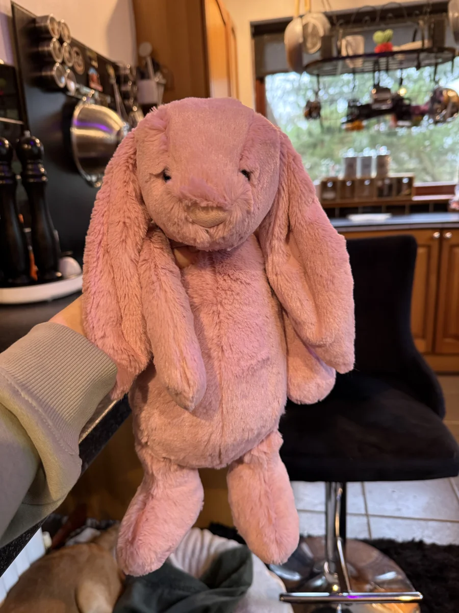 Front - Bashful Tulip Pink Bunny - Large photo by Wydnicky