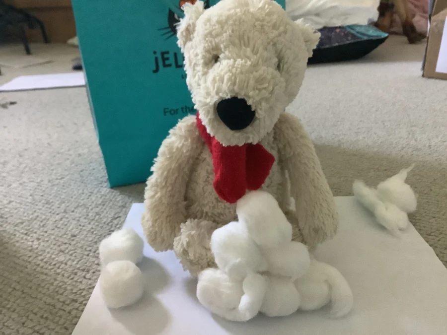 Lifestyle - Bashful Polar Bear - Medium photo by Ellahorsefan21