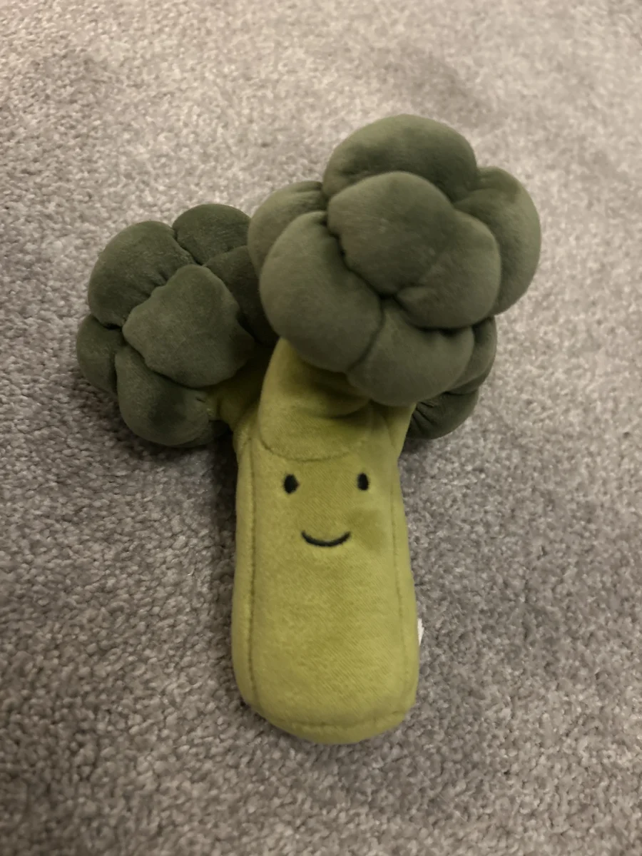 Front - Vivacious Vegetable Broccoli photo by GabbyCaEve