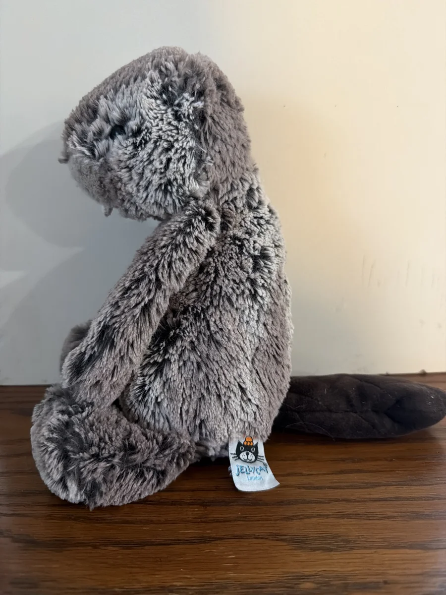 Side - Bashful Beaver - Medium photo by Madison_Marie