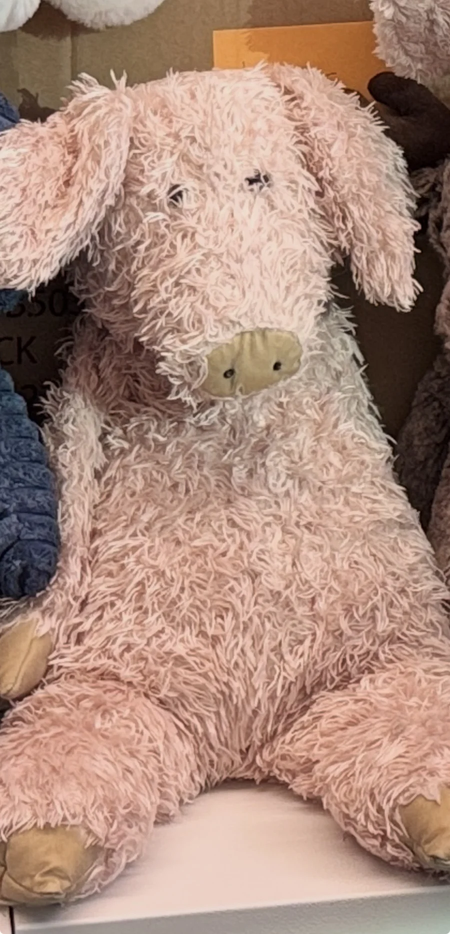 Front - Bunglie Pig - Medium photo by Gemstones333
