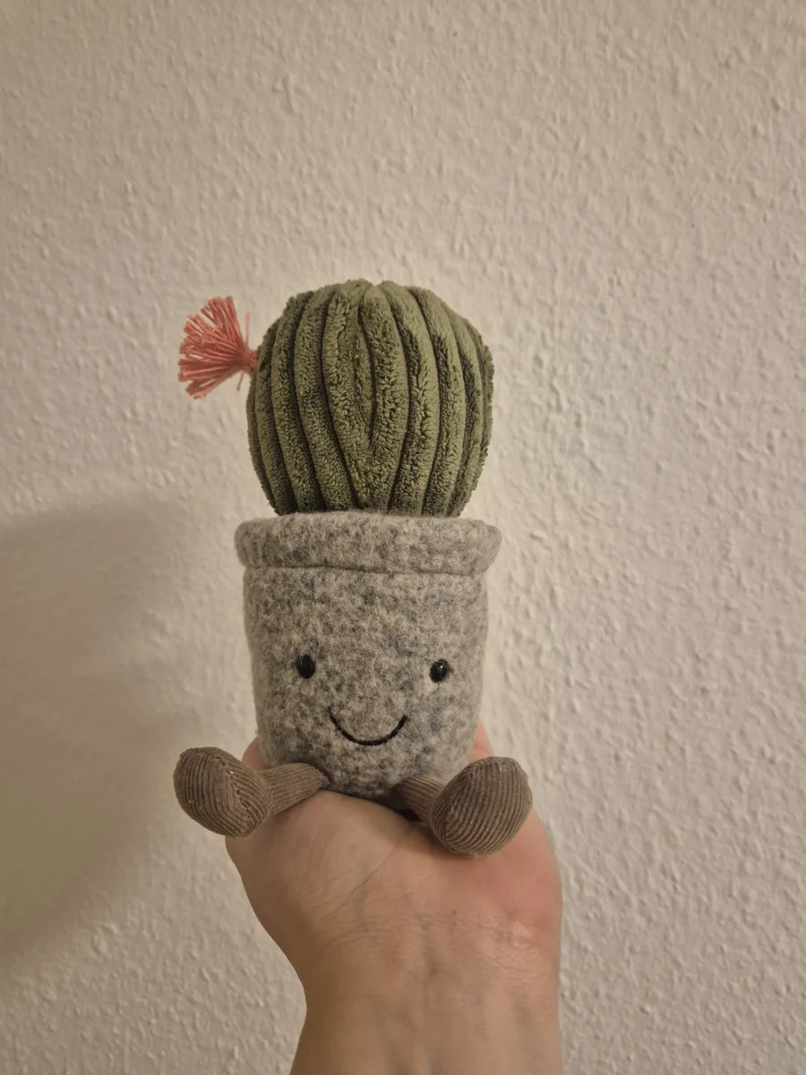 Front - Silly Succulent Barrel Cactus photo by Helena