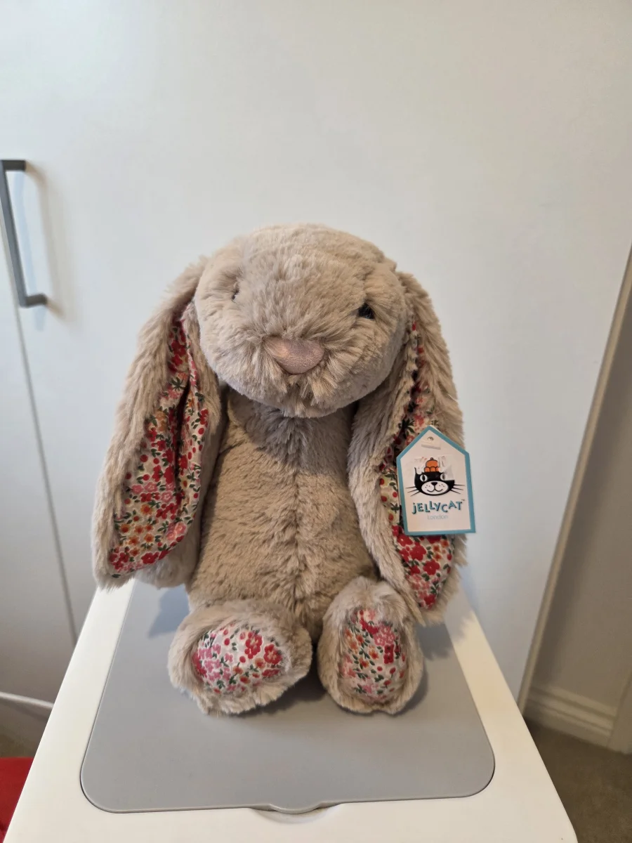 Front - Blossom Beige Bunny - Medium photo by AEJELLEY