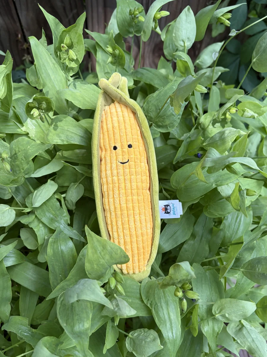 Front - Vivacious Vegetable Sweetcorn photo by AmberrGolden