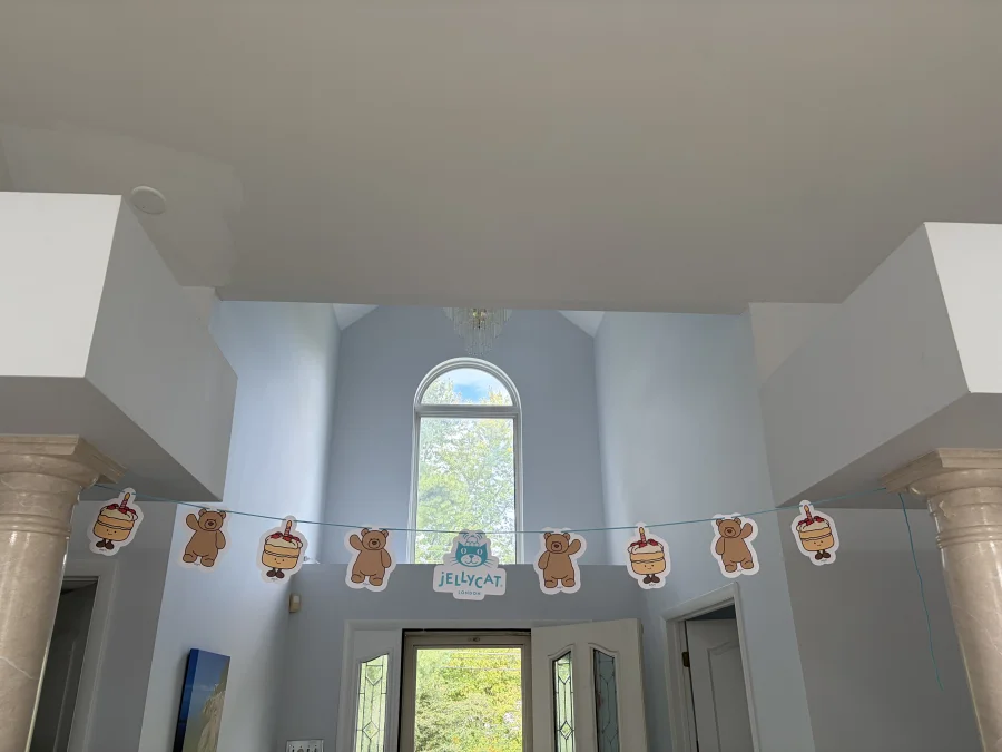 Front - Birthday Bunting photo by kitcatgrl32