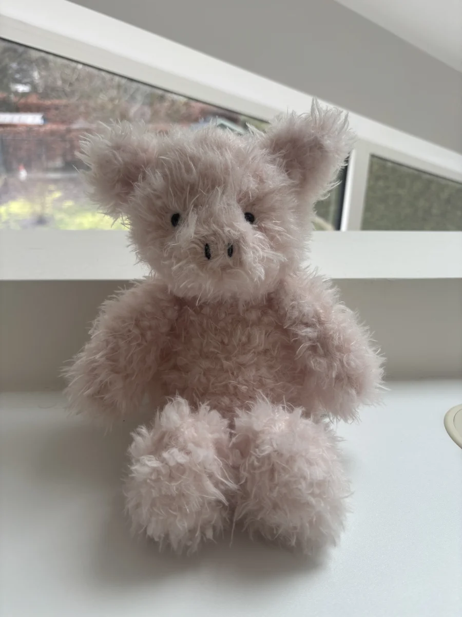 Front - Angora Petunia Piglet - Medium photo by the_jelly_jungle