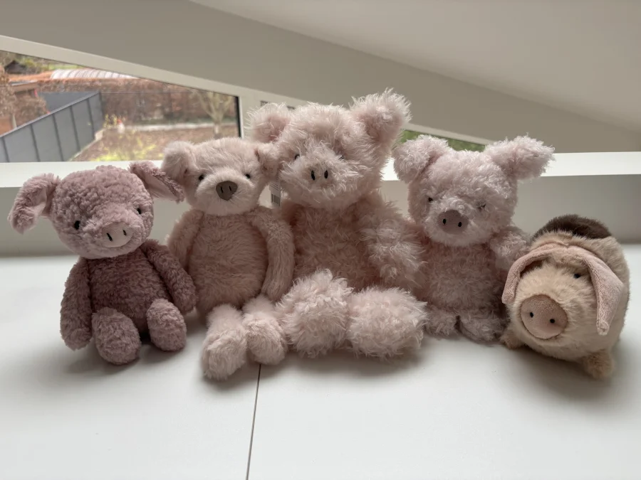 Lifestyle - Angora Petunia Piglet - Medium photo by the_jelly_jungle