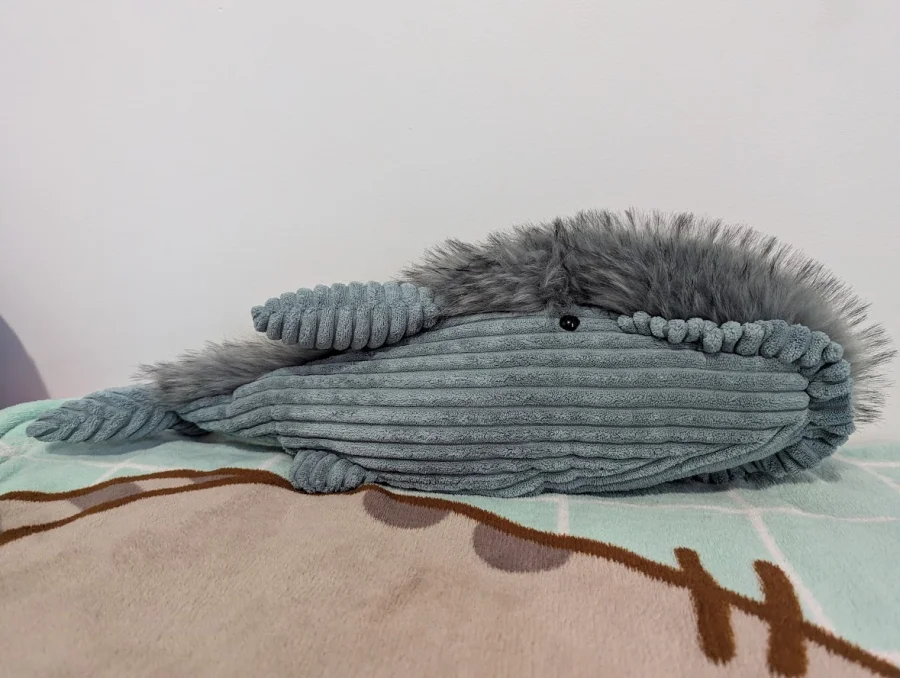Side - Wiley Whale photo by Mayisla