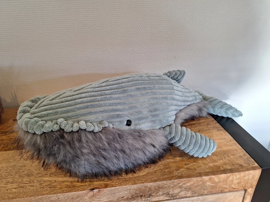 Front - Wiley Whale photo by Sofie