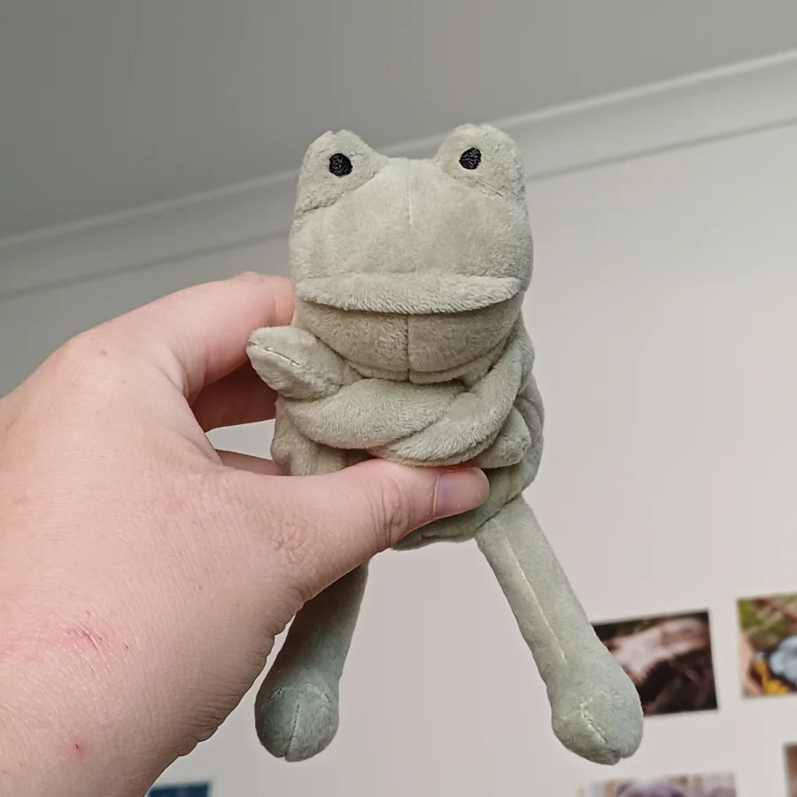 Front - Fergus Frog Bag Charm photo by herbgardenplush