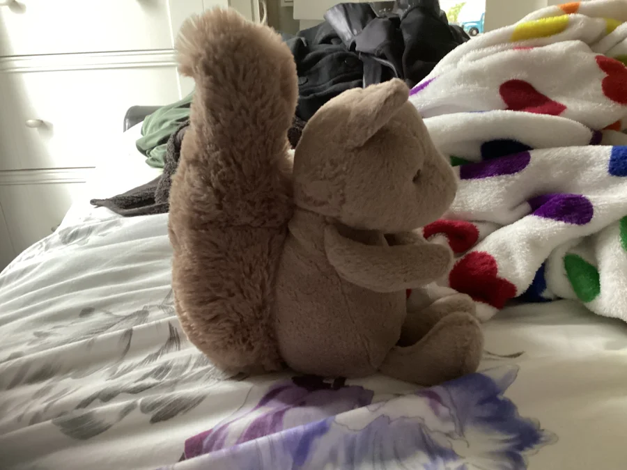 Side - Willow Squirrel photo by Isabellexcoffee