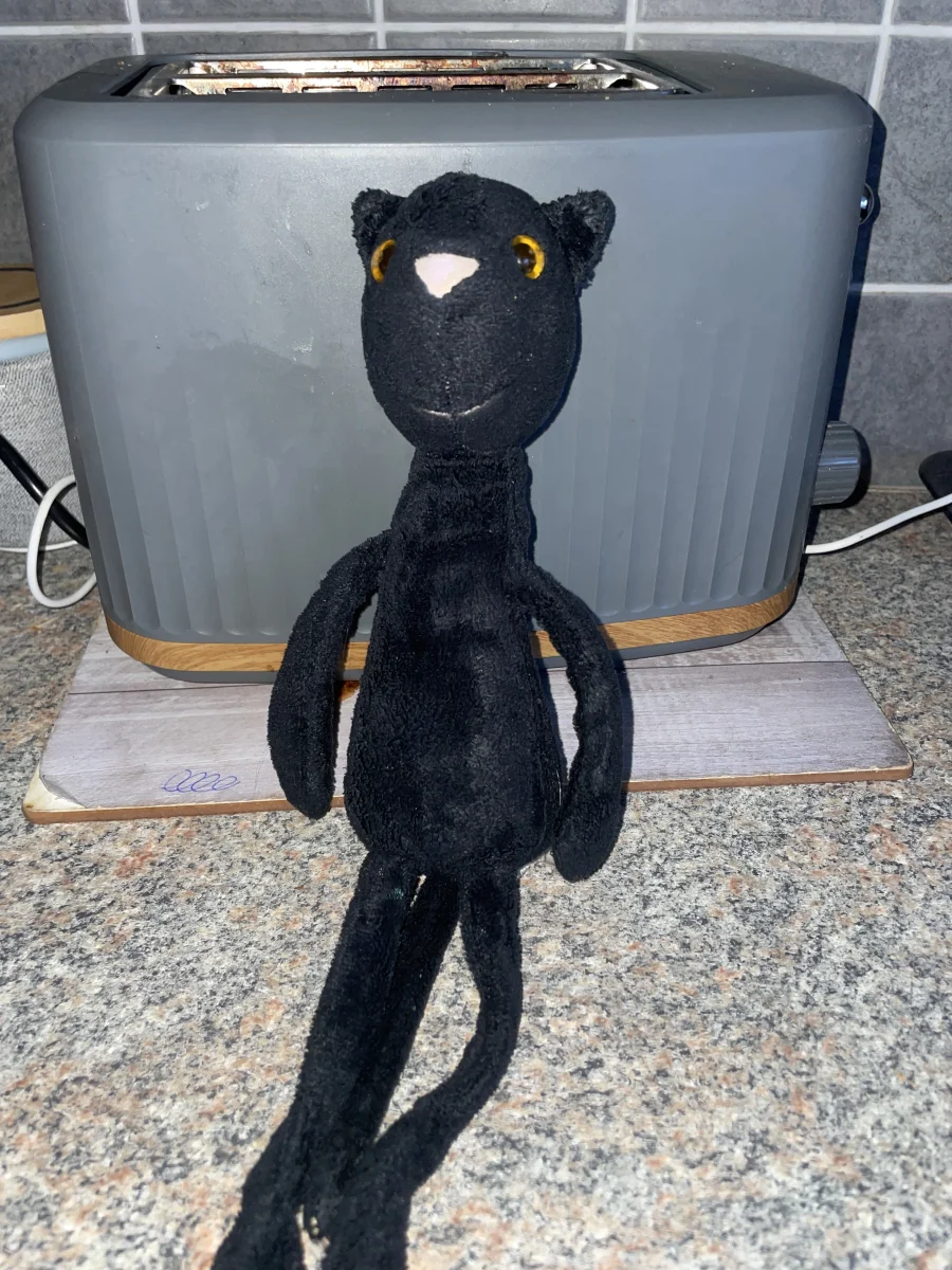 Front - Rumplekin Cat photo by Bungee