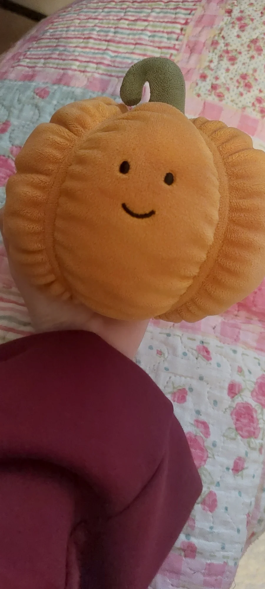 Front - Vivacious Vegetable Pumpkin photo by Jellycolleeee82