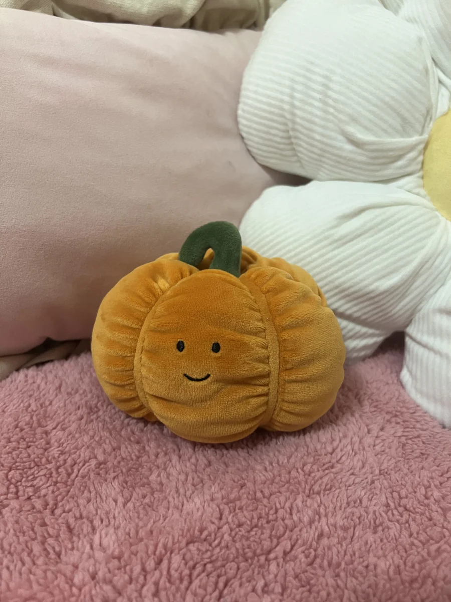Front - Vivacious Vegetable Pumpkin photo by meganlayla222