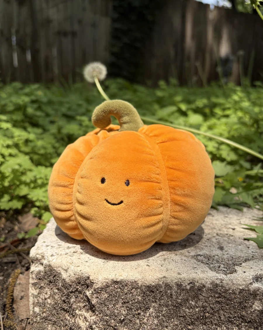 Front - Vivacious Vegetable Pumpkin photo by AmberrGolden