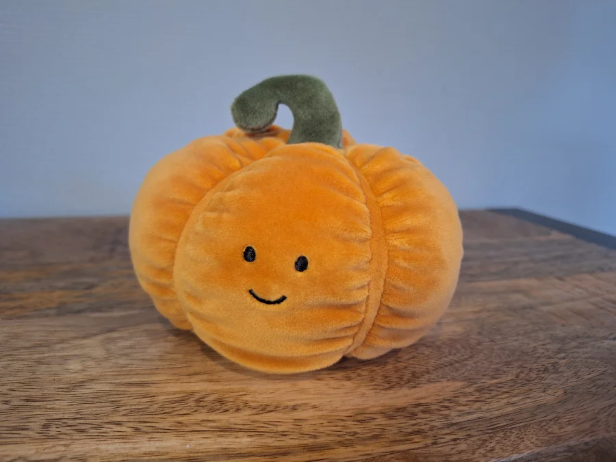 Front - Vivacious Vegetable Pumpkin photo by Sofie