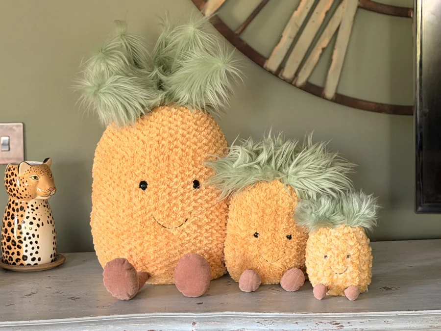 Front - Amuseables Pineapple - Huge photo by Costagirljellies