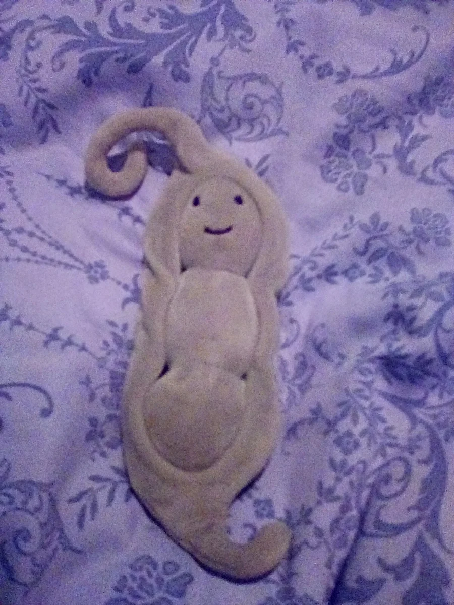 Front - Vivacious Vegetable Pea photo by Jellcatlover1