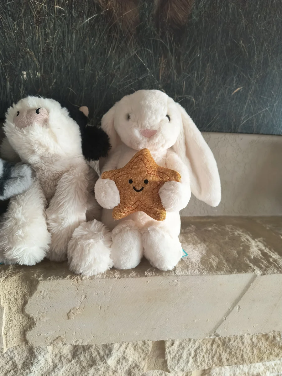 Cream Bunny with Star Jellycat Photo by s1mplyraee | Jelly Journal