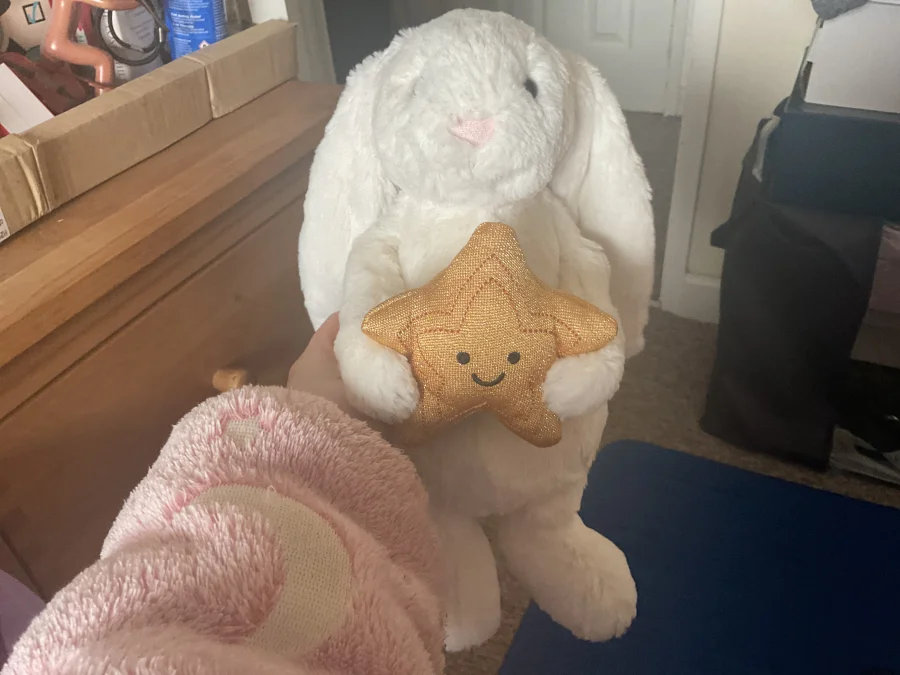 Front - Cream Bunny with Star photo by Louisa11226