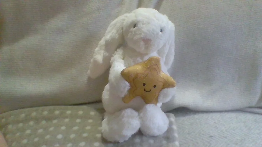 Front - Cream Bunny with Star photo by xJellyStarx
