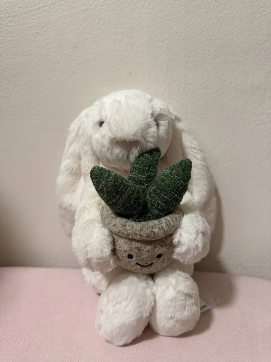 Front - Cream Bunny with Plant photo by katsjellies