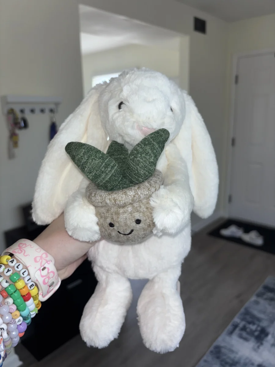 Cream Bunny with Plant Jellycat Photo by alinsey | Jelly Journal