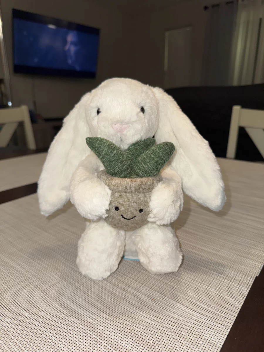 Front - Cream Bunny with Plant photo by sophiedonovann