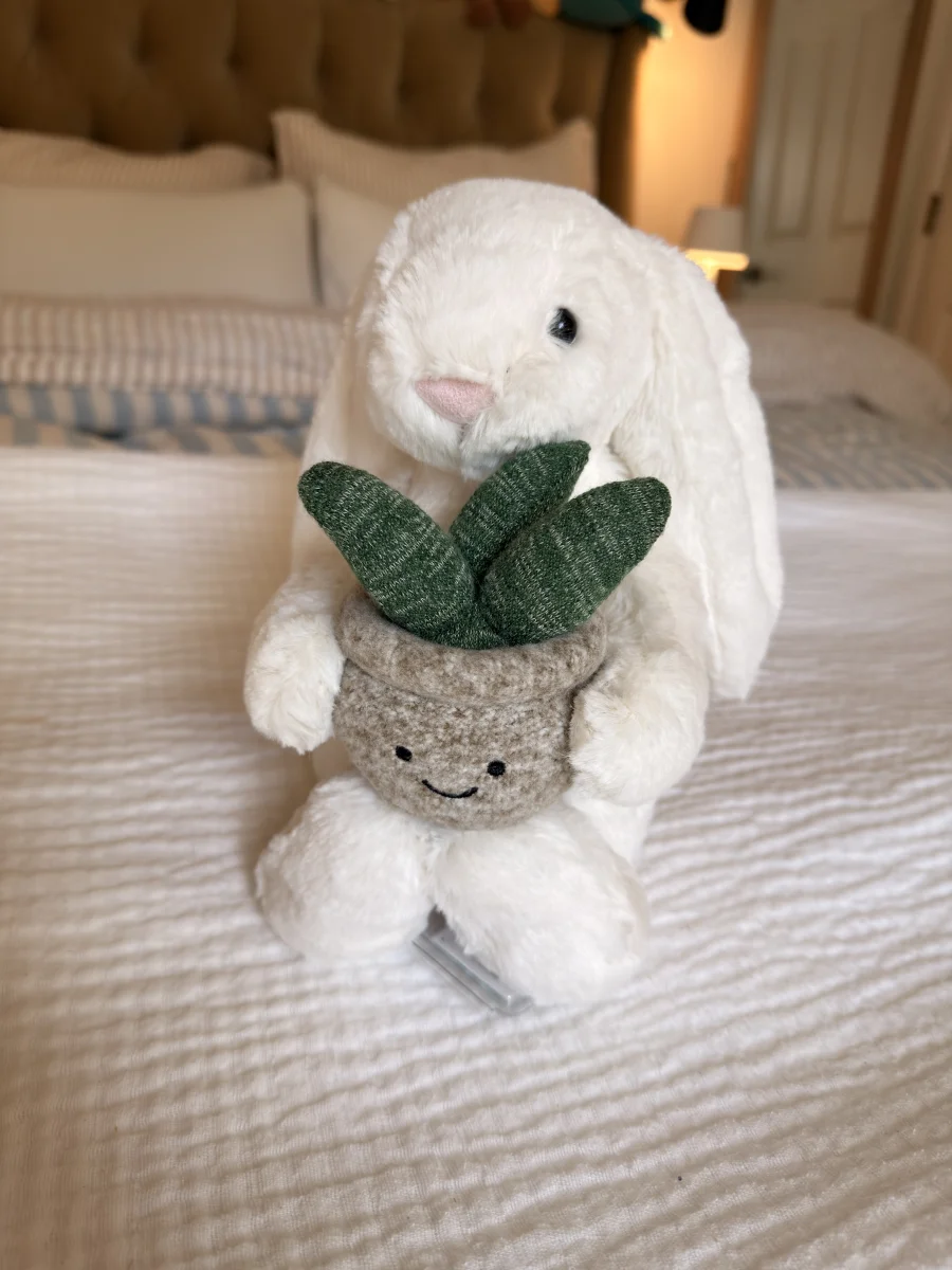 Front - Cream Bunny with Plant photo by Saltedcoffee