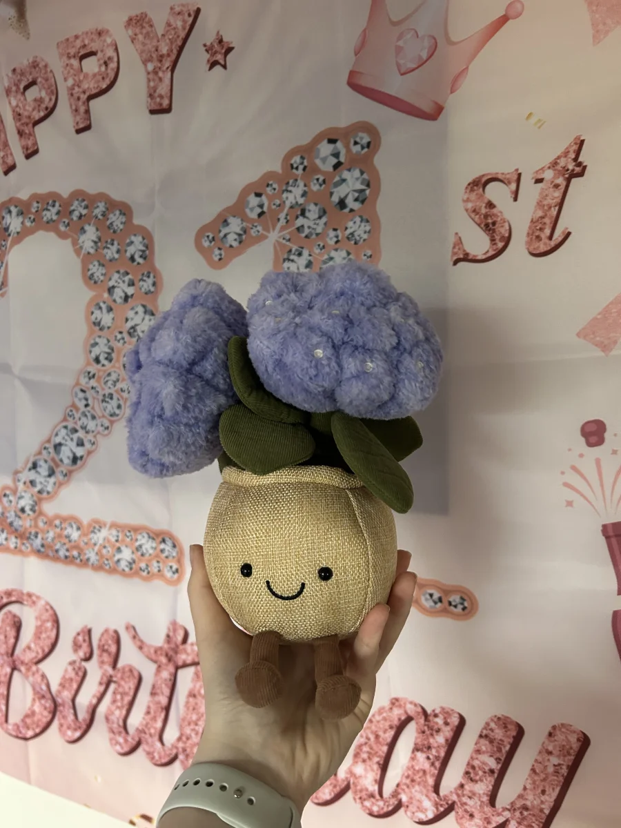 Front - Amuseables Hydrangea photo by herbycat