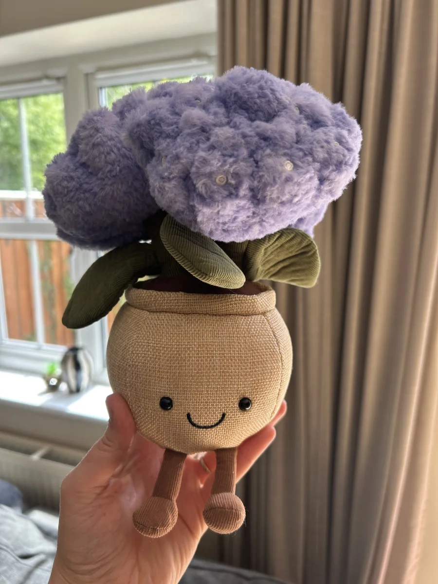 Front - Amuseables Hydrangea photo by TishWish