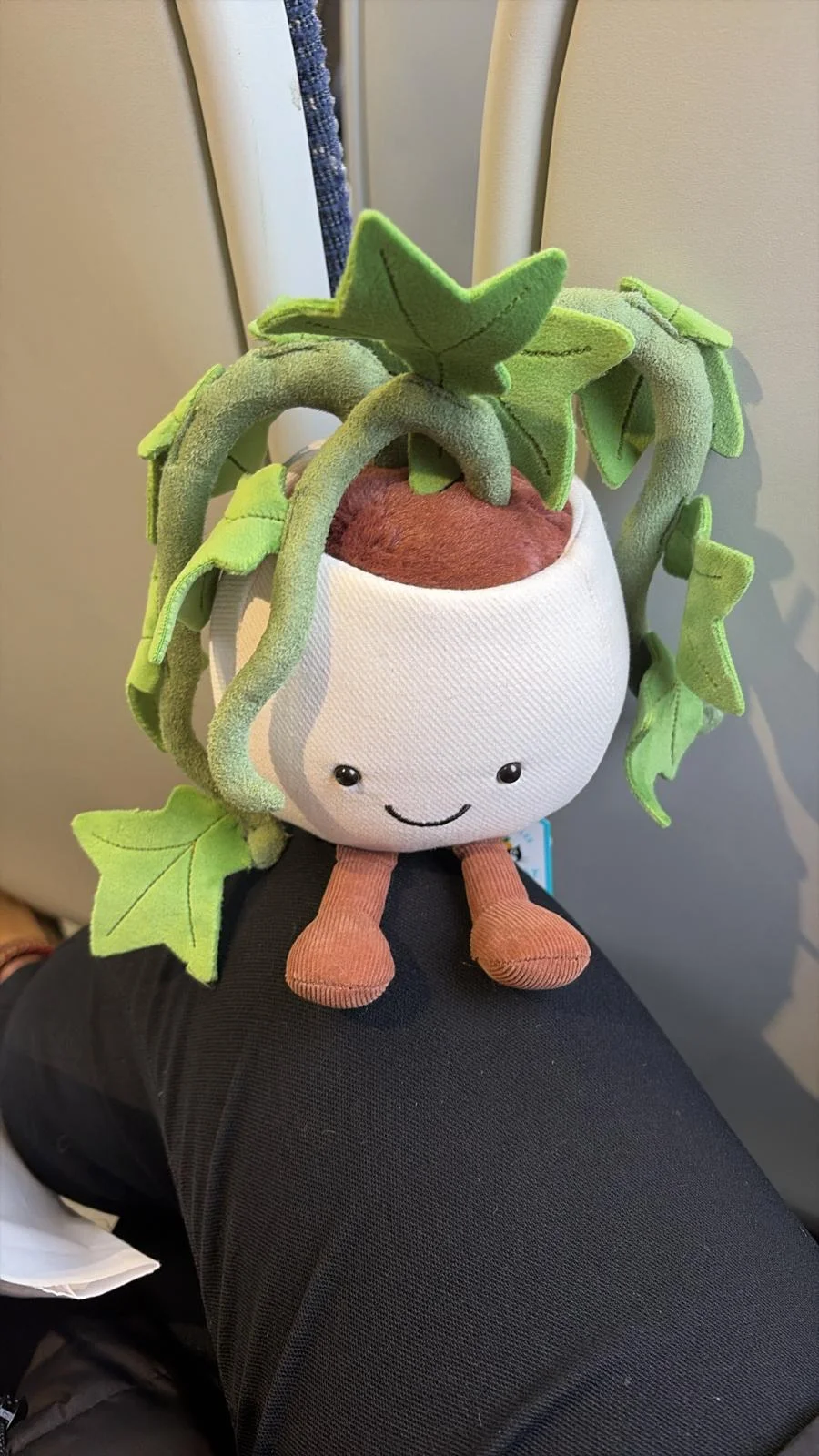 Front - Amuseables Ivy photo by JellyNelly10