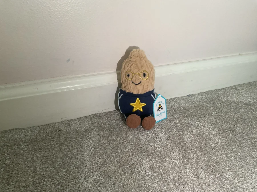 Front - Amuseables Peanut Star Student Outfit photo by Jellycatpicasso