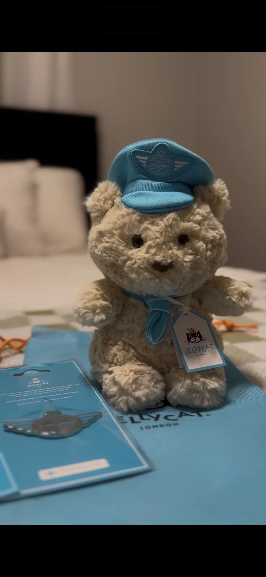 Front - Bartholomew Bear Junior 'Pilot' photo by Kellebelle