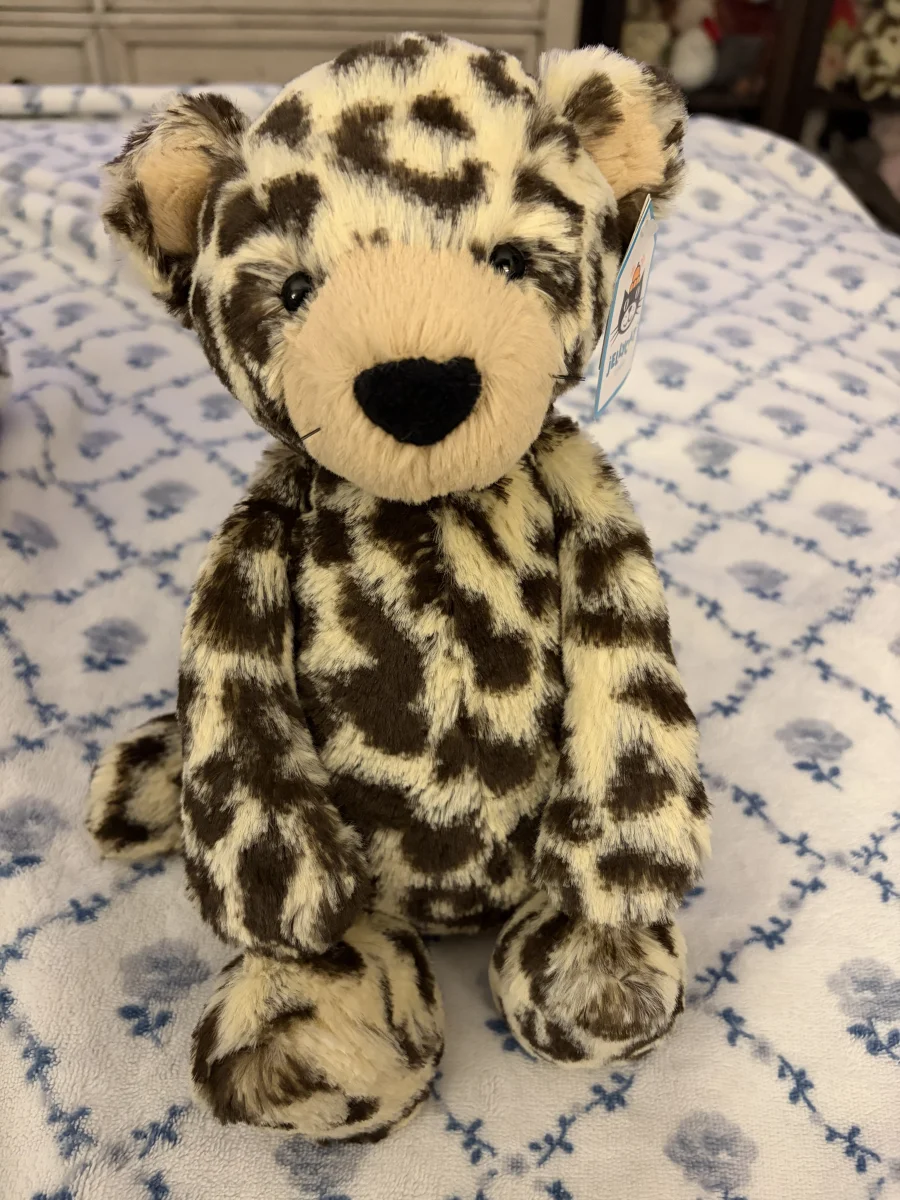 Front - Bashful Leopard - Medium photo by Stephmarie207